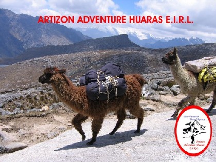 LLAMA TREKKING